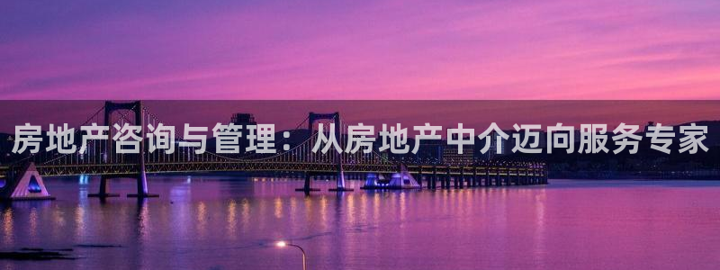 摩登7登录招333OO：房地产咨询与管理：从房地产中介迈向服