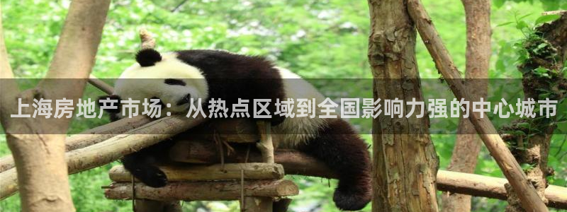 摩登系列摩登7