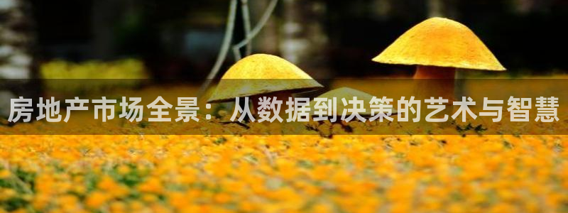 摩登7天7O667