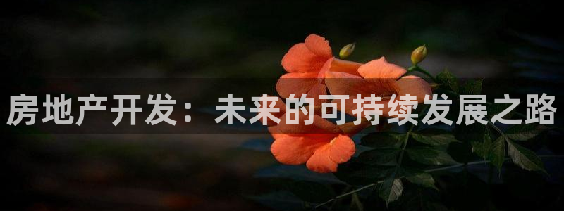 摩登7登录释333OO：房地产开发：未来的可持续发展之路
