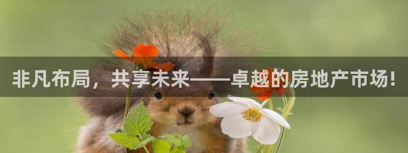 摩登天空7：非凡布局，共享未来——卓越的房地产市场!