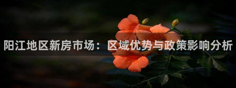 摩登7后：阳江地区新房市场：区域优势与政策影响分析