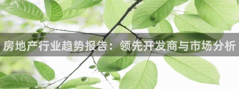 摩登7注册快333OO：房地产行业趋势报告：领先开发商与市场