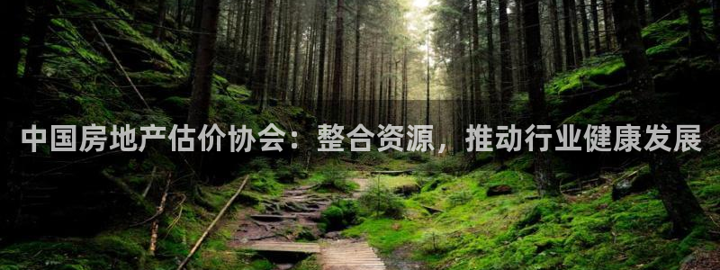 摩登天空7：中国房地产估价协会：整合资源，推动行业健康发展