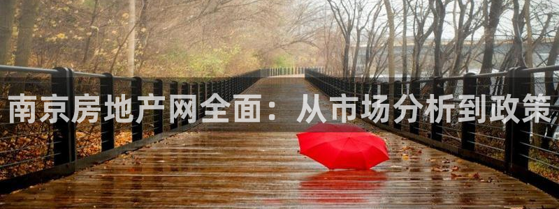摩登4左7O667：南京房地产网全面：从市场分析到政策