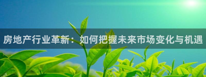 摩登7app官网下载：房地产行业革新：如何把握未来市场变化与
