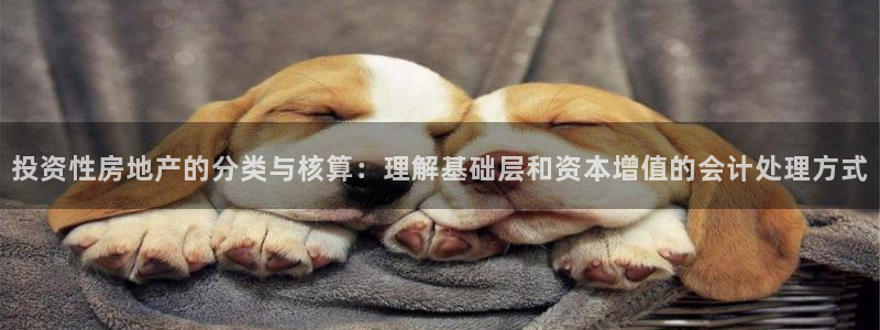 摩登7高管：投资性房地产的分类与核算：理解基础层和资本增值的