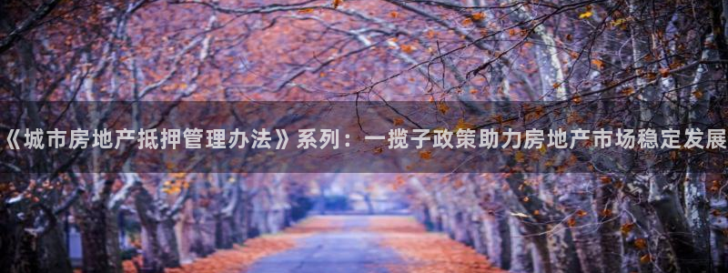 摩登5天7O667：《城市房地产抵押管理办法》系列：一揽子政