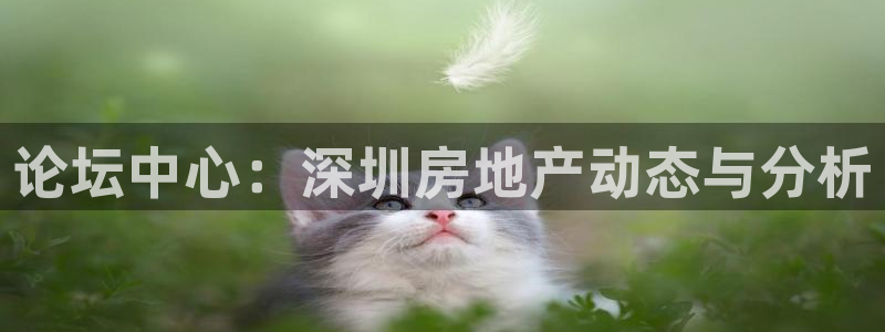 摩登7在线注册加v：论坛中心：深圳房地产动态与分析