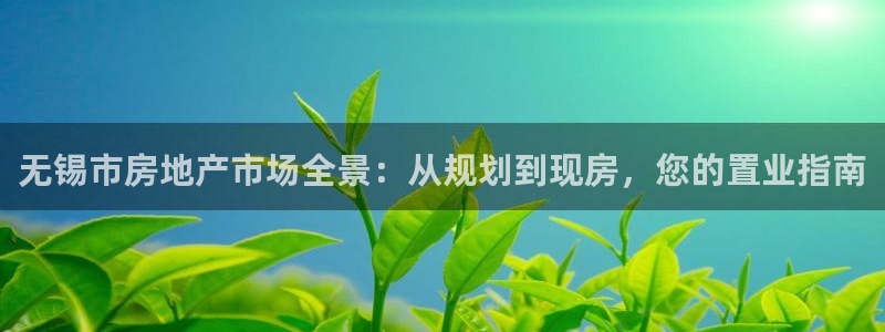 摩登7平台注册账号：无锡市房地产市场全景：从规划到现房，您的