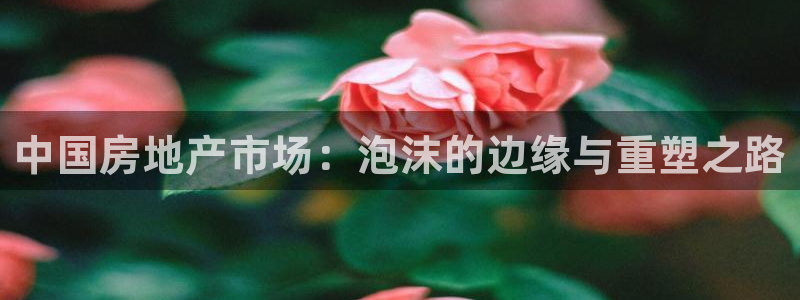 摩登4天7O667：中国房地产市场：泡沫的边缘与重塑之路