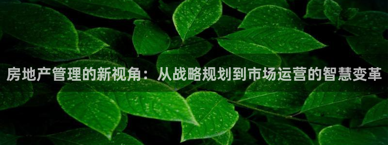 摩登7娱乐找qv382223：房地产管理的新视角：从战略规划