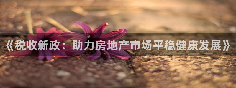 摩登7左：《税收新政：助力房地产市场平稳健康发展》