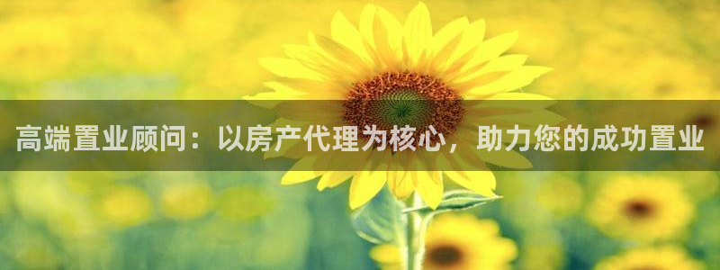 摩登7链接：高端置业顾问：以房产代理为核心，助力您的成功置业