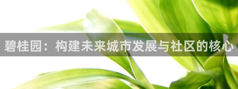 摩登招商虍金手指排名7：碧桂园：构建未来城市发展与社区的核心