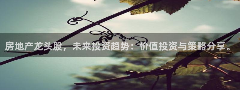 摩登招商7约22650：房地产龙头股，未来投资趋势：价值投资