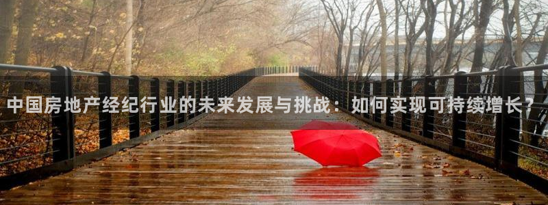 摩登6地7O667：中国房地产经纪行业的未来发展与挑战：如何
