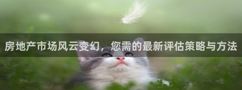 摩登7平台网址：房地产市场风云变幻，您需的最新评估策略与方法