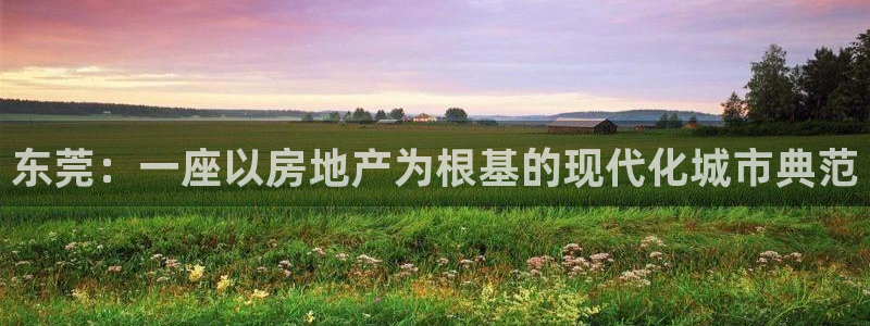 摩登招商尢首选金手指7：东莞：一座以房地产为根基的现代化城市