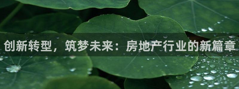 摩登7娱乐平台4：创新转型，筑梦未来：房地产行业的新篇章