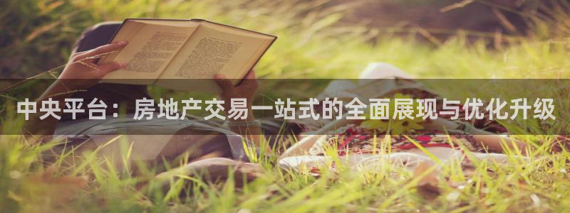 摩登7经3299O7：中央平台：房地产交易一站式的全面展现与