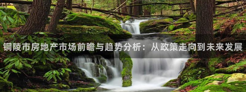 摩登6月7O667：铜陵市房地产市场前瞻与趋势分析：从政策走