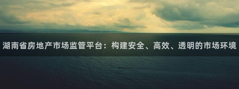 摩登5许7O667：湖南省房地产市场监管平台：构建安全、高效