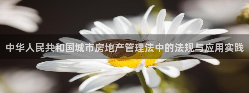 摩登7日3299O7：中华人民共和国城市房地产管理法中的法规