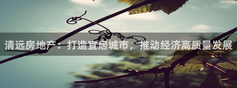 摩登7右