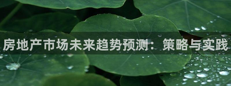 摩登7登录睡333OO：房地产市场未来趋势预测：策略与实践