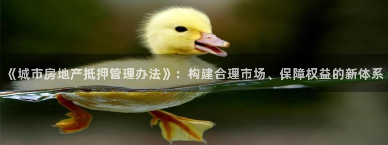 摩登3后7O667