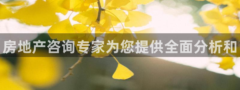 摩登7上级：房地产咨询专家为您提供全面分析和