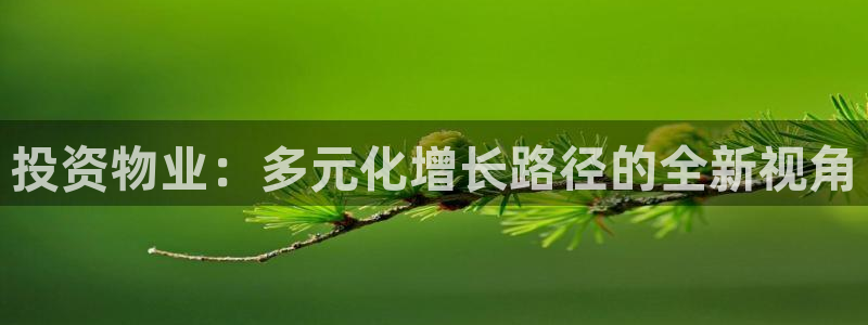 摩登7注册路333OO：投资物业：多元化增长路径的全新视角