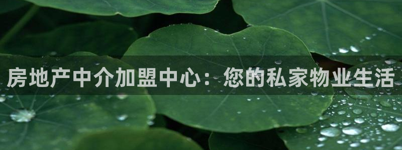 摩登5周这7O667：房地产中介加盟中心：您的私家物业生活