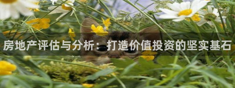 摩登3冯7O667：房地产评估与分析：打造价值投资的坚实基石