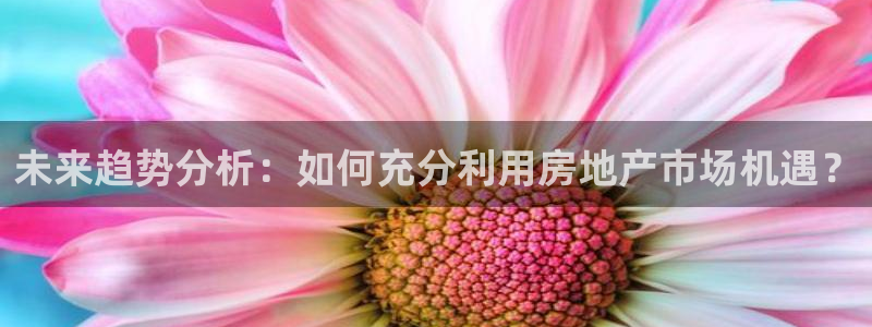 摩登5右7O667：未来趋势分析：如何充分利用房地产市场机遇