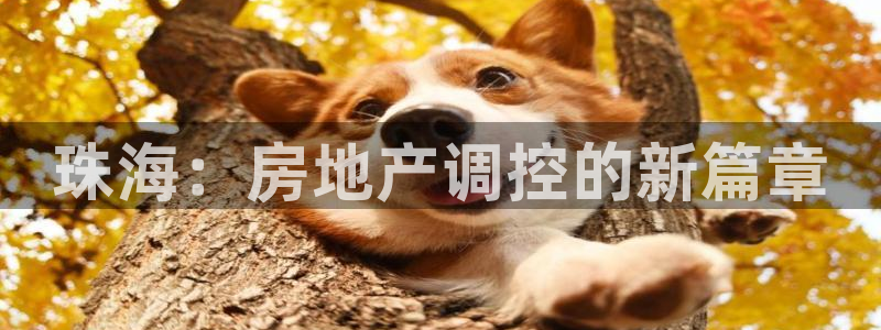 摩登7平台涨7O777