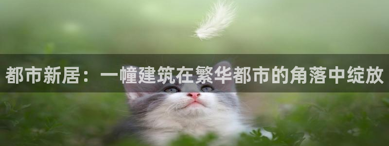 摩登3右7O667：都市新居：一幢建筑在繁华都市的角落中绽放