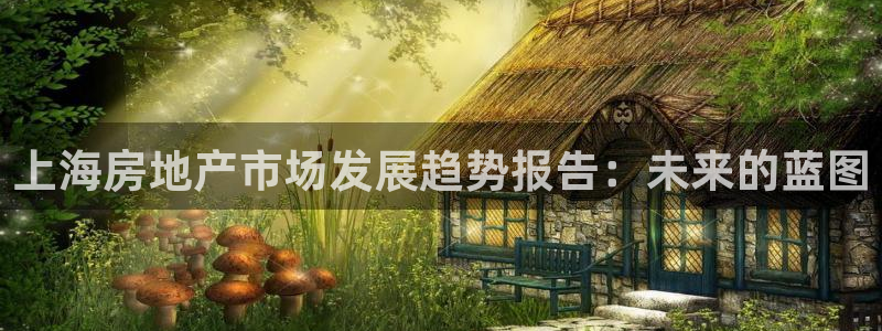 摩登天空7：上海房地产市场发展趋势报告：未来的蓝图