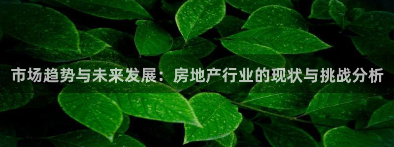 摩登7注册平台：市场趋势与未来发展：房地产行业的现状与挑战分