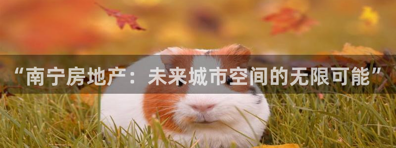 摩登7登录释333OO：“南宁房地产：未来城市空间的无限可能
