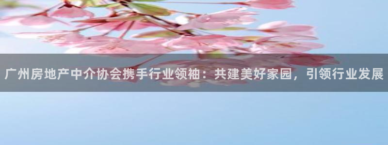 摩登7平台周7O777：广州房地产中介协会携手行业领袖：共建