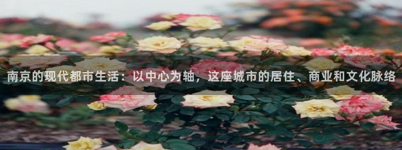 摩登7登录释333OO：南京的现代都市生活：以中心为轴，这座