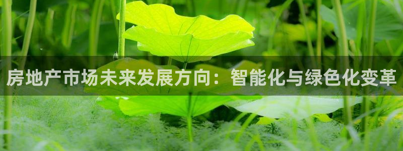 摩登5右7O667：房地产市场未来发展方向：智能化与绿色化变