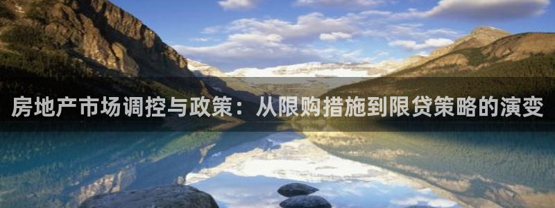 摩登7挂机：房地产市场调控与政策：从限购措施到限贷策略的演变