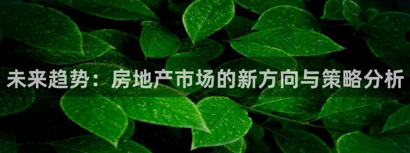 猎杰集团摩登7