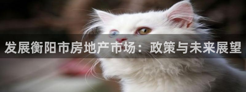 摩登7官网的详细介绍