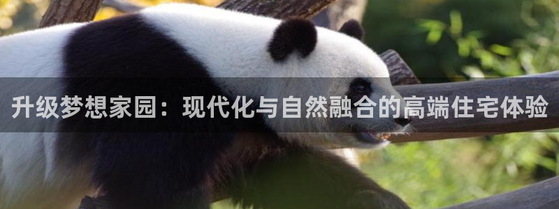 摩登7直属招商：升级梦想家园：现代化与自然融合的高端住宅体验
