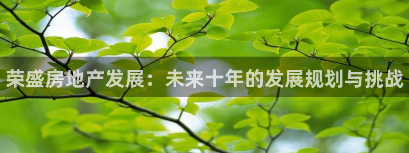 摩登7下载地址：荣盛房地产发展：未来十年的发展规划与挑战