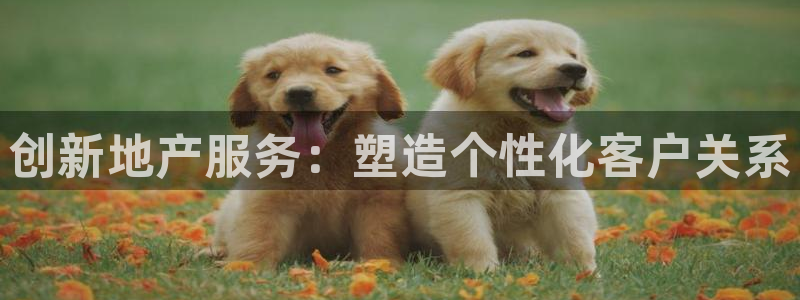 摩登7平台app：创新地产服务：塑造个性化客户关系
